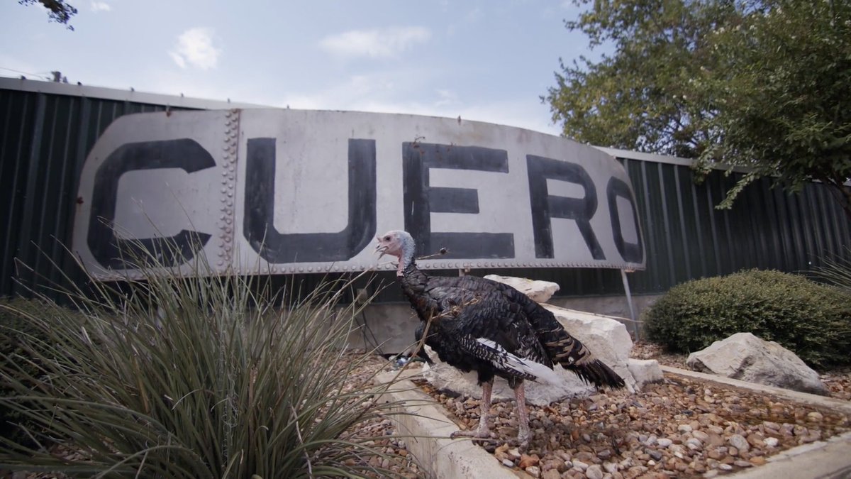 YOLO_TX's tweet photo. Mark your calendars for #Turkeyfest 2023!
Every year #Cuero hosts a race between two turkey’s who vie for the title: Turkey Capital of the World!
What started off as a rivalry between two cities is now a festival with rides, BBQ, music & more!
VIDEO: https://t.co/QLGKK8sZS8 https://t.co/KD4qb6665S