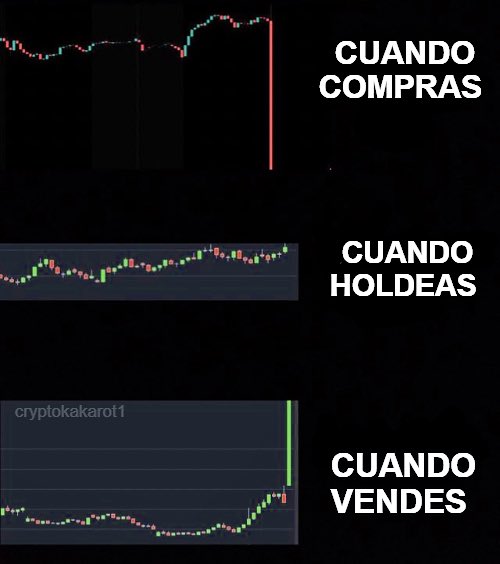 Pacha Trading tweet media