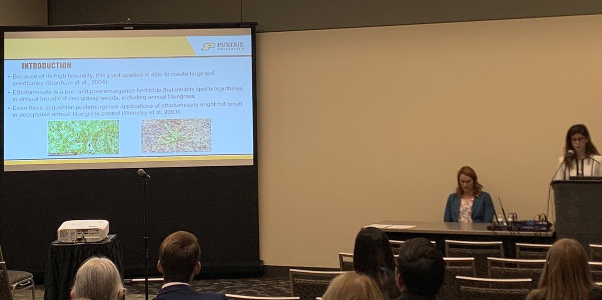 BIGTurfKnowHow's tweet photo. Well done Vera Vukovic @PurdueHortLA MS student on your presentation “Ethofumesate Resistant Annual Bluegrass in Oregon Grass Seed Production Systems” @ResistPoa and bonus points for the use of “fecundity” #bigwords https://t.co/6lBtUezFJN