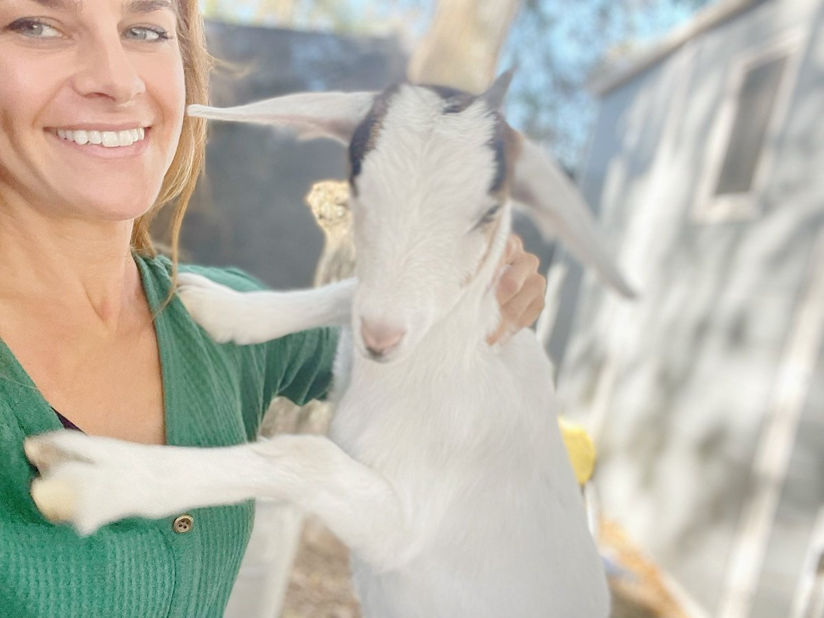 Yesahcan Sanctuary tweet media