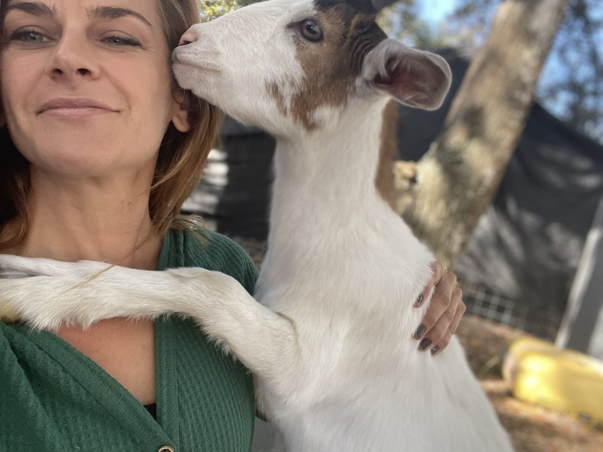 Yesahcan Sanctuary tweet media