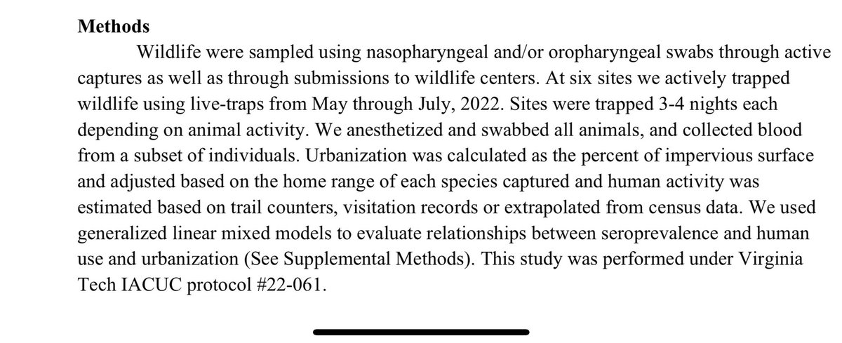 Rich Grenyer 🐪💨 tweet media