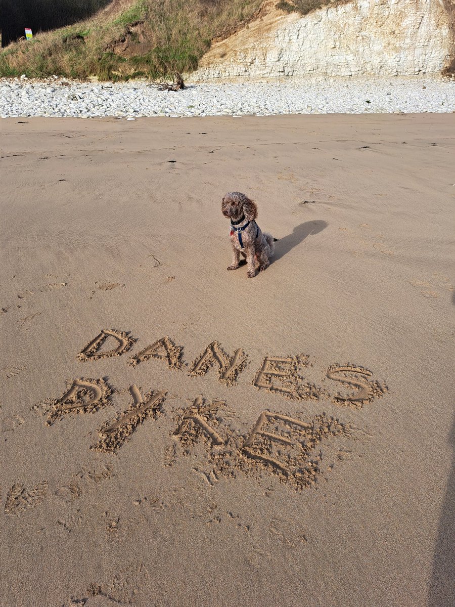 Today <a href="/Hearingdogpuppy/">Pasha</a> Pasha had an amazing run at Fraisthorpe beach then a long walk up and down lots of steps at Danes Dyke.I was shattered and he just slept all the way home.We ❤️the Yorkshire coast 🐩🐾🐾
<a href="/HearingDogs/">Hearing Dogs for Deaf People</a> @hearingdogsyork
<a href="/BBCYork/">BBC York</a>