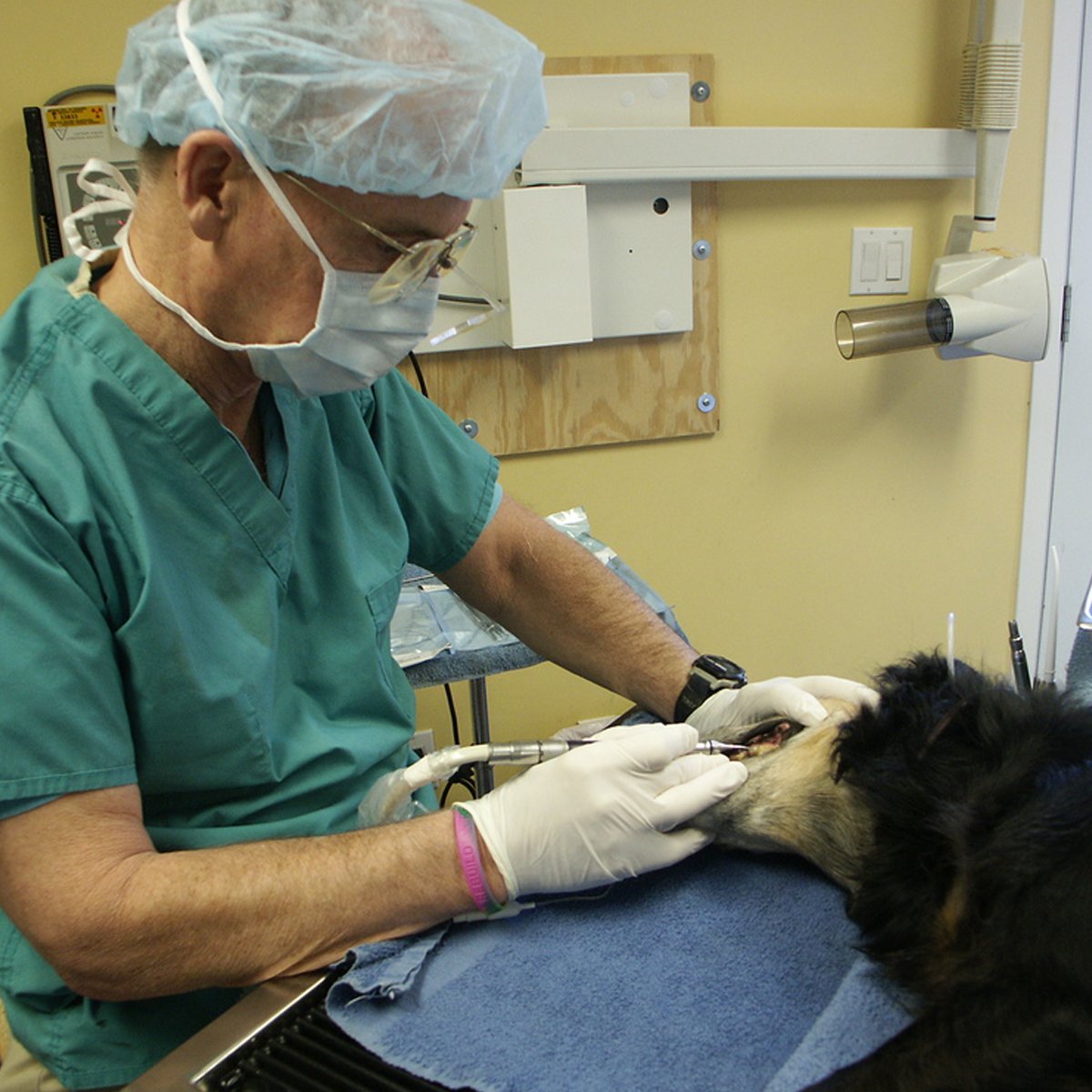 Tweet by Michigan VMA