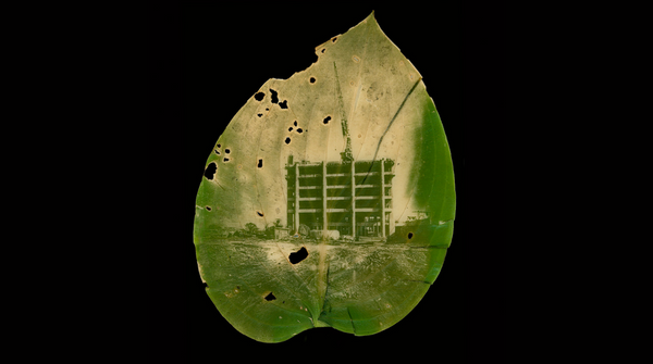 brock_library's tweet photo. Visit @BrockUniversity Library &amp; Learning Commons to view a striking display of historical &amp; experimental photography by @pubrarian &amp; @CharityElle. Inspired to learn more? Check out the thematic book display &amp; #VirtualBookDisplay on photography | https://t.co/EUdxmG9tzA https://t.co/EDJNANj5CP