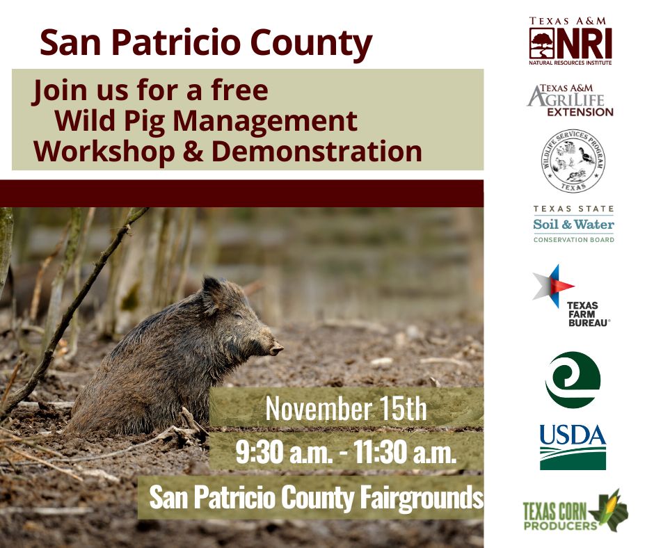 Feral Hogs CoP tweet media