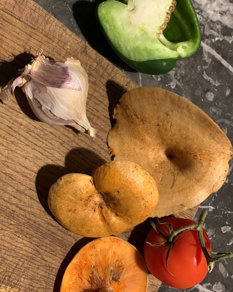 KatehardyFrance's tweet photo. Lactarius sanguifluus found in the garden. https://t.co/HIT16ITsfD https://t.co/MT8YS4JkQJ