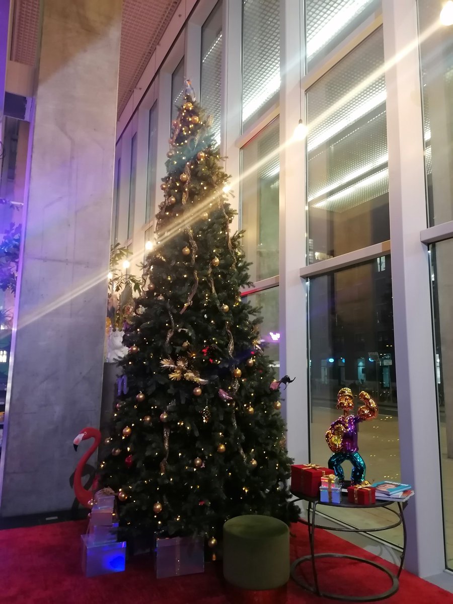 César Armand tweet media