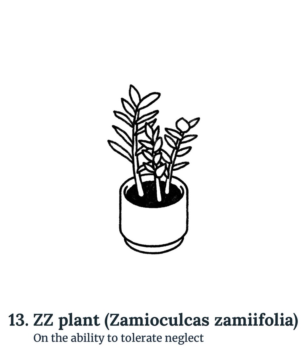 jonny sun tweet media