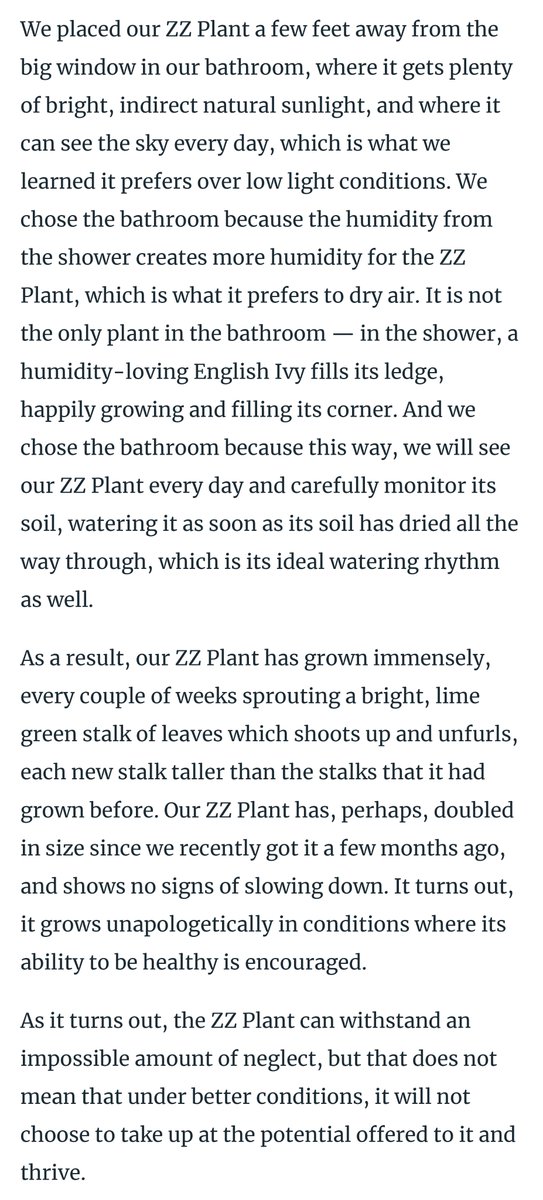 i wrote about the ability to survive neglect, and how surviving is not the same as being alive.

jonnysun.bulletin.com/13-zz-plant