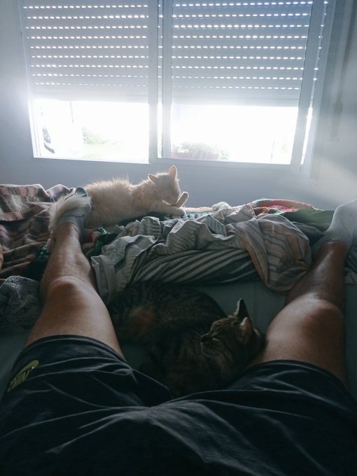 M&iacute; tarde https://t.co/W34oPp7NKR<a href="/tag/brothers"class="tags"><span>#brothers</span></a>