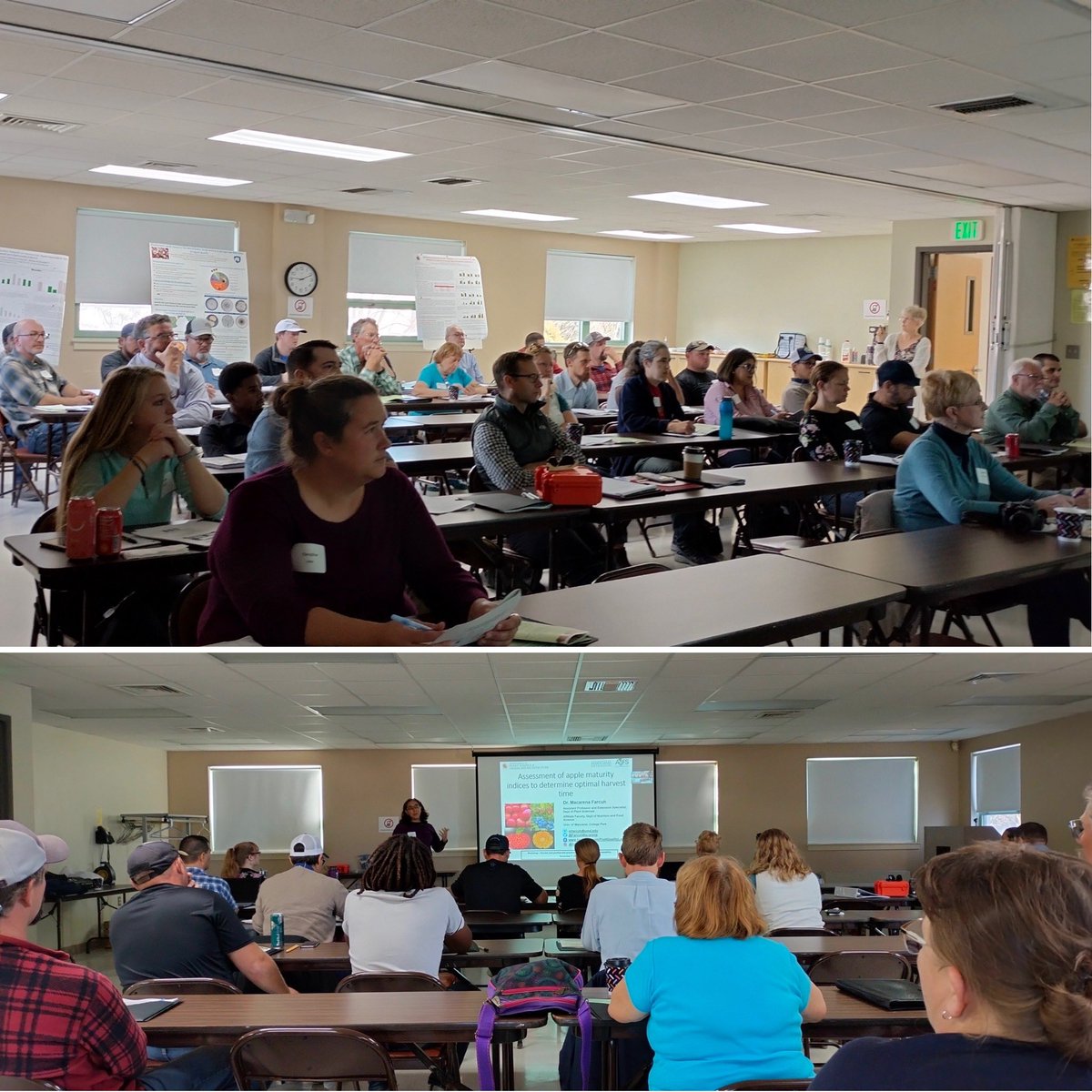 FarcuhMacarena's tweet photo. Great time organizing and speaking at our 🍎🍏 workshop yesterday! Great participation, questions and discussions! 
Thanks to everyone that made it possible and looking forward to the next one! 
#FarcuhLab @UMD_AGNR @UMdExtension @UMDResearch https://t.co/KjdeZMAyr9