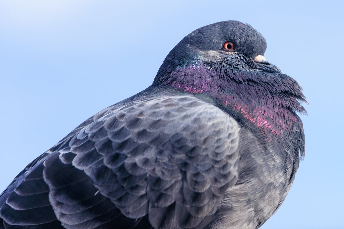 Number One sat by the front window for a little while yesterday.