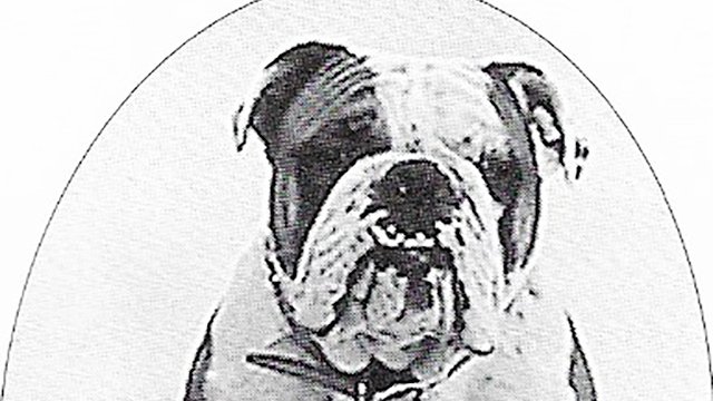 csmbulldogs's tweet photo. Our Centennial year continues; learn more about our college's history with our Centennial Story Series.
Read about Rival Goldstone, the original CSM Bulldog: https://t.co/v8JwVMgWyy
#CSM100 #collegemascot https://t.co/8k1sK6juzB