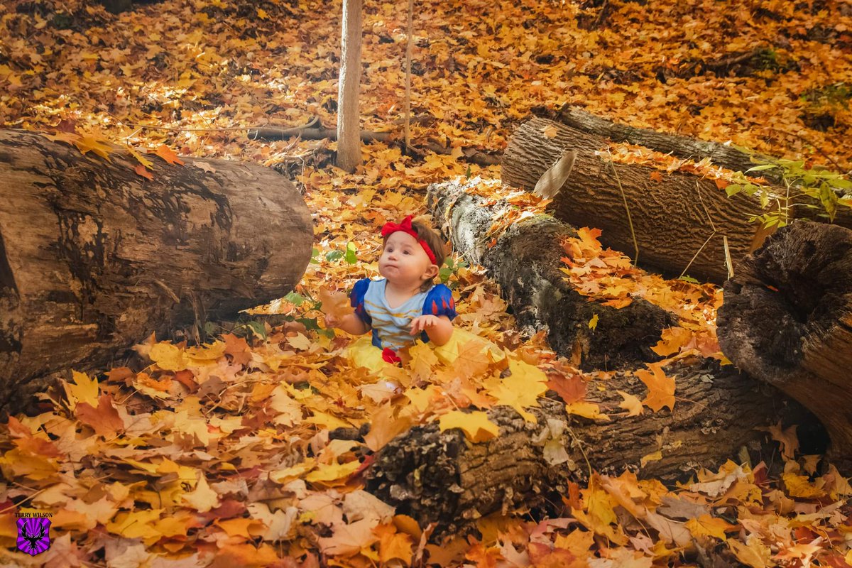 Snow White in #cootesparadise #hamilton #hamont #Canada #photo #photooftheday #AutumnColors #AutumnVibes
