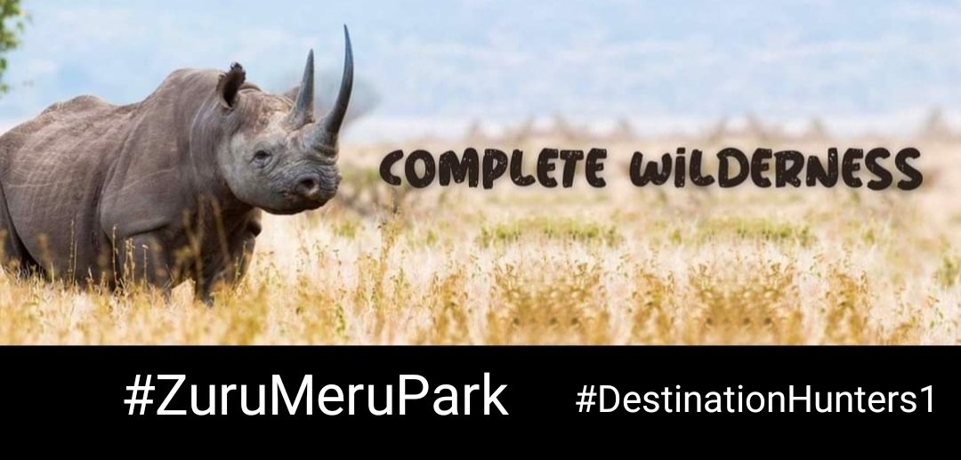 Destinationhunters tweet media