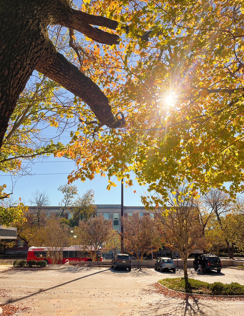 NC State Poole College of Management (@NCStatePoole) / Twitter