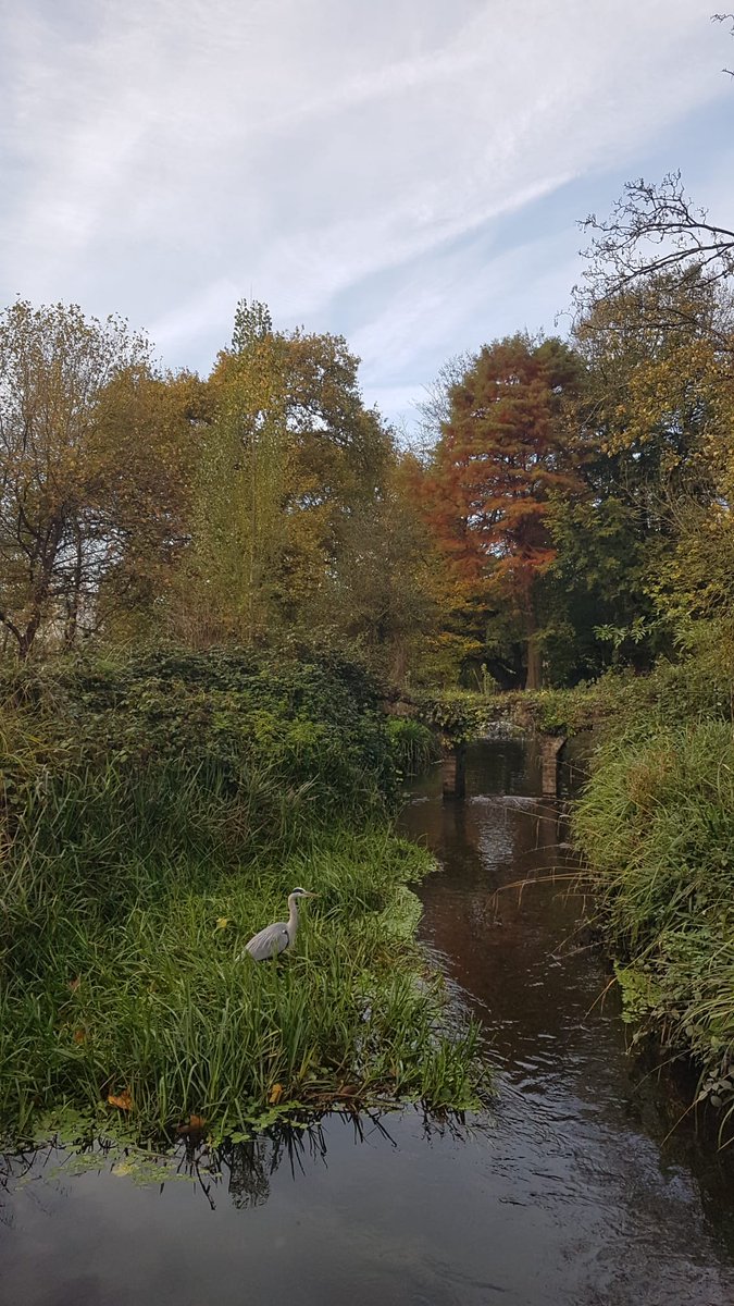 Stepping outside in nature always lifts our spirits, even on wet days like today - especially seeing serene scenery like this one captured by our gardener Jade. #EveryoneNeedsNature #autumnwalks