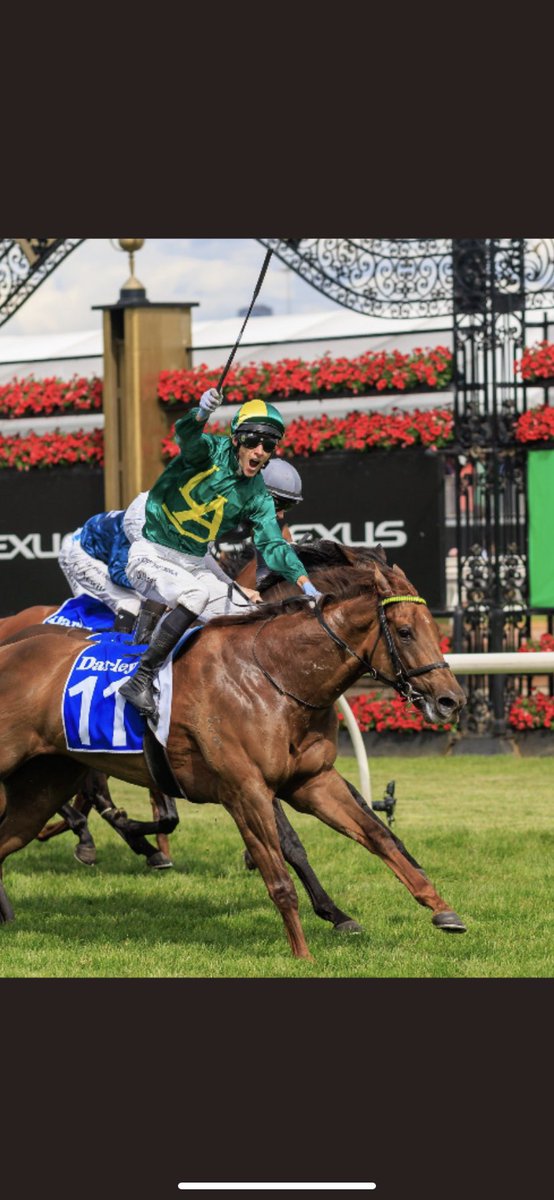 Roch n horse 🏆🏆🏆🤘🤘<a href="/littleavondale/">Sam Williams</a> <a href="/BallymoreStabls/">Ballymore Stables</a> <a href="/FlemingtonVRC/">Victoria Racing Club</a>