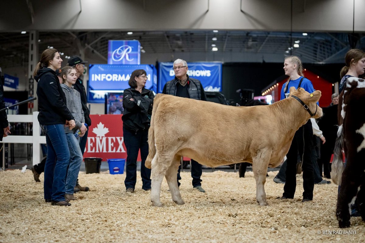 Missed being in the ring this year but still had the best time <a href="/THERAWF/">The Royal Agricultural Winter Fair</a> with the Temiskaming <a href="/4HOntario/">4-H Ontario</a> beef crew. They did an excellent job. It’s moments like this that make me excited for the future of our industry. <a href="/temiskamingbeef/">Beef Farmers of Temiskaming</a> @MasterfeedsCDN <a href="/BeefFarmersON/">Beef Farmers of Ontario</a> 🍀🐮