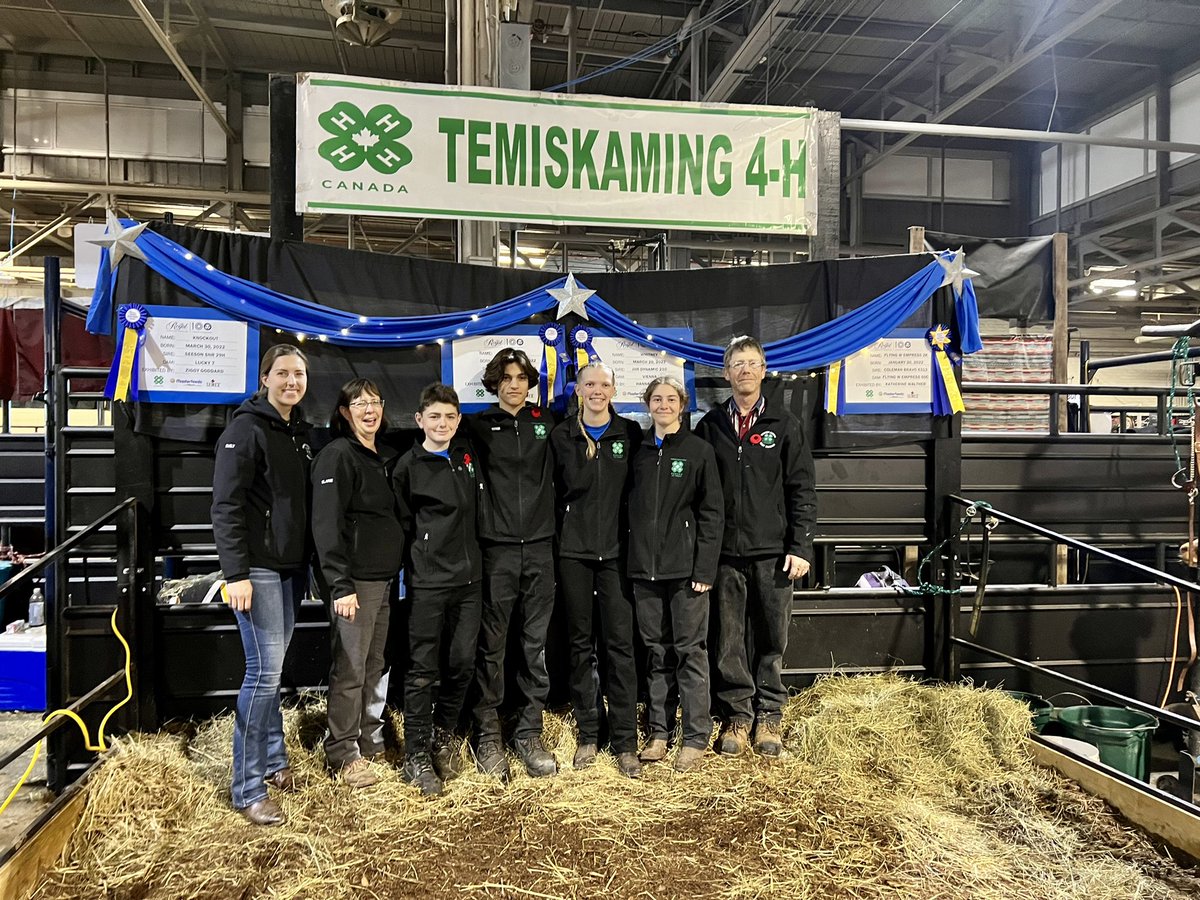 Emily Seed tweet media