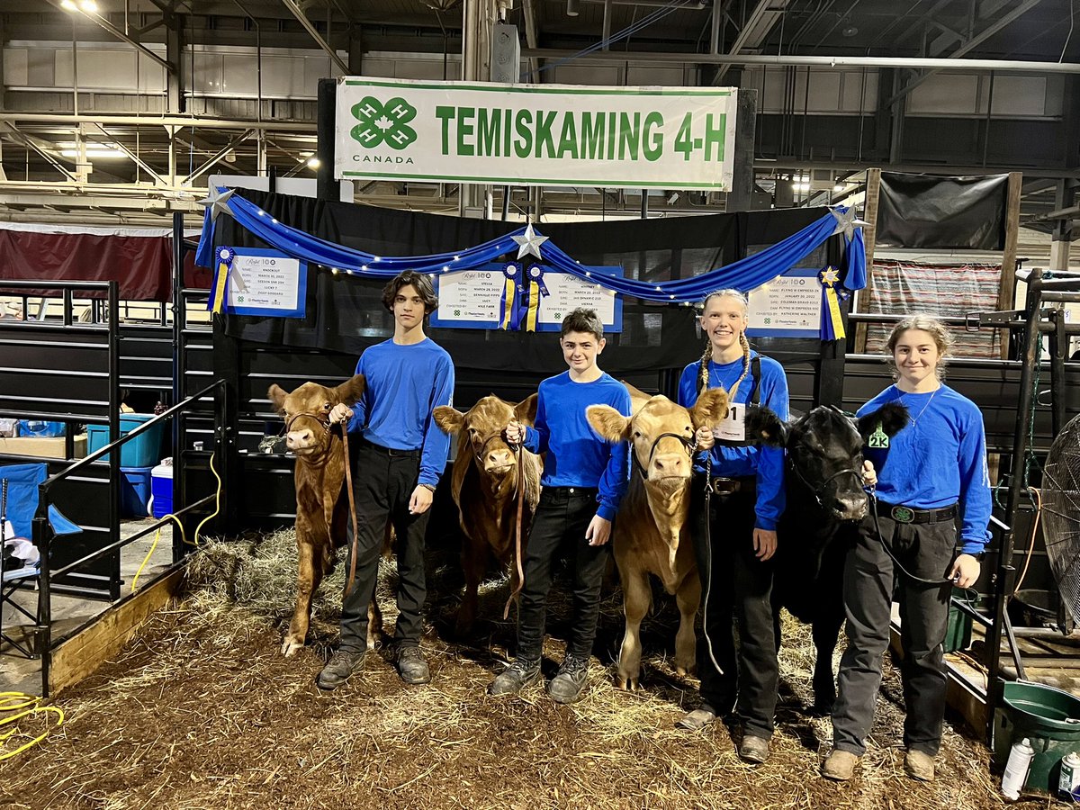 Emily Seed tweet media