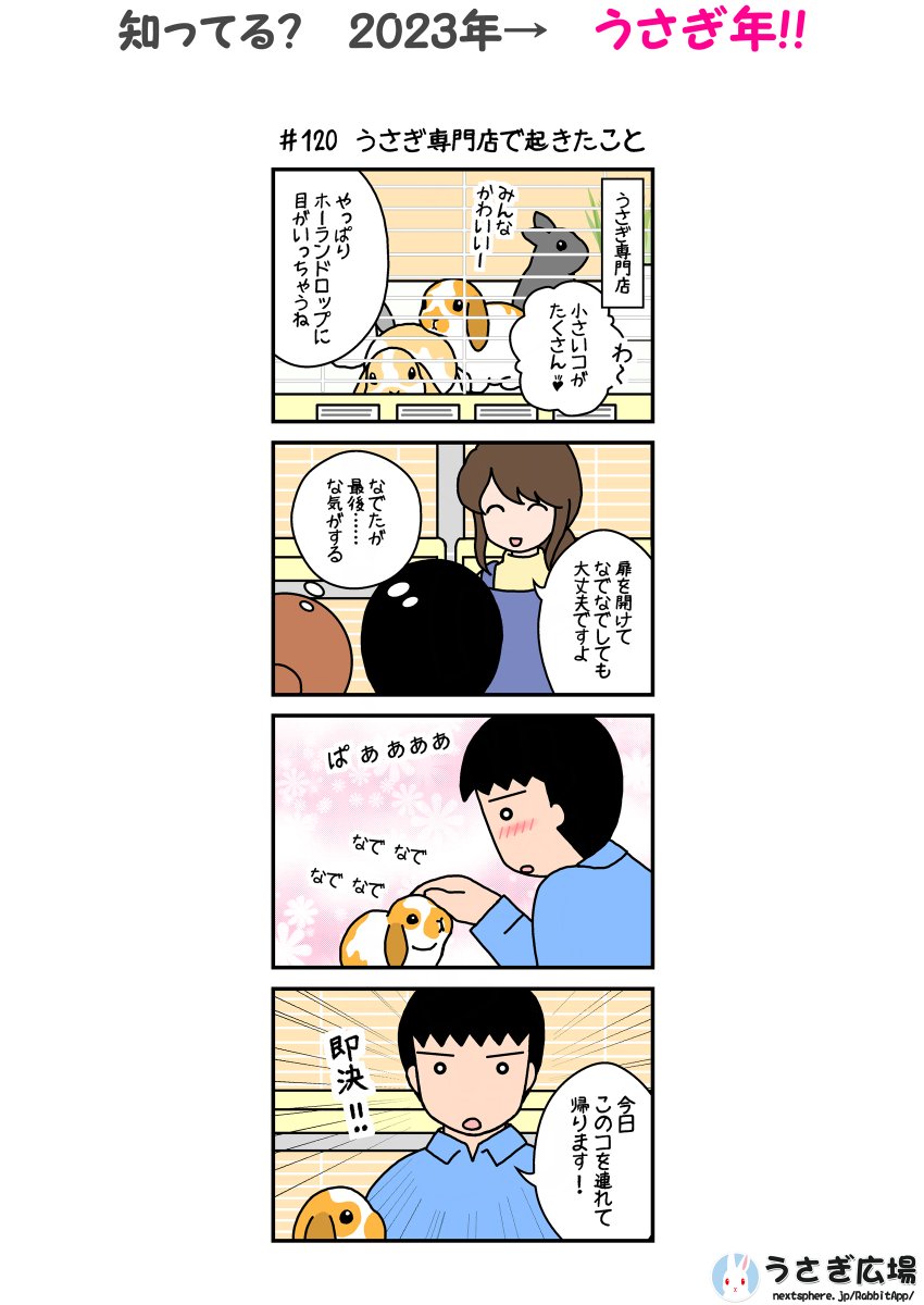 お迎えどころか、お迎えする直前。 たまに「売られていた頃」の写真を