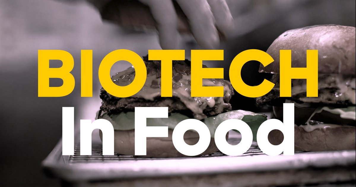 lawrencehallsci's tweet photo. What a (delicious) treat it was to peek behind the scenes at @ImpossibleFoods + learn about how #biotechnology can change the world. This video introduces middle schoolers to a chemist, food scientist and biologist, #teachers - share in your #stem classes: https://t.co/xUDH4qwlvE https://t.co/l2TLhIhevE