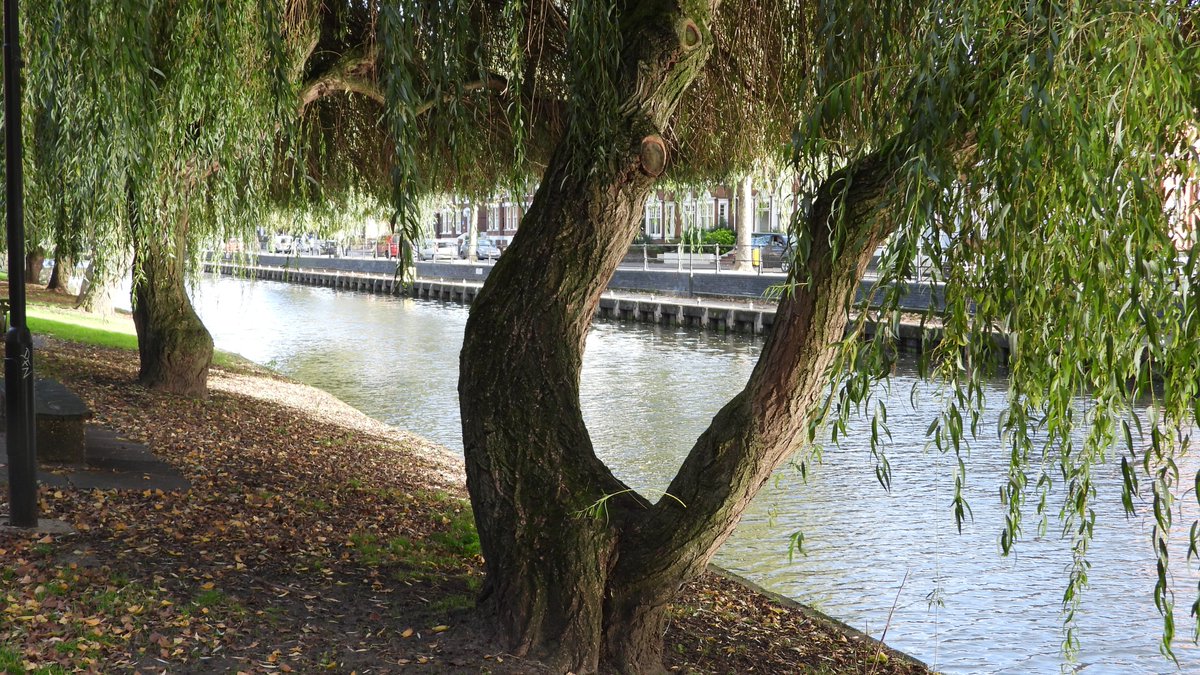 seuneke's tweet photo. Today was a trip to Norwich. #norwich #pullsferry #greathospital https://t.co/ovajS4P9Ff