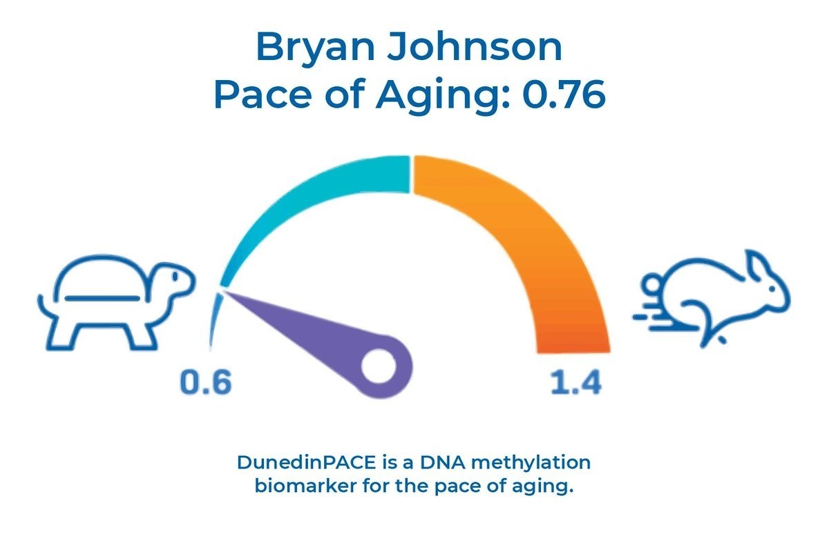 1/You probably know…
+ how much money is in your bank account 
+ your social media follower count, and
+ your body weight 

But, do you know how fast you are aging? 

Mine is currently 0.76

For every 365 days, I age 277 days.