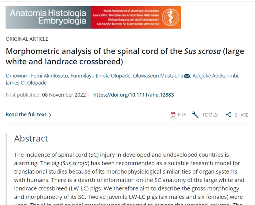 wumiakinlosotu's tweet image. The pig is a suitable research model for translational studies due to its morphophysiological similarities to humans. We just published an article on the biomedical relevance of this species of animal to spinal cord research. #spinalcordinjury #spinalcordresearch