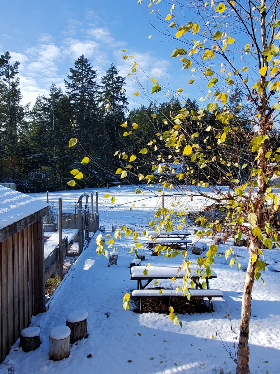 RosieWebsterEd's tweet photo. Glorious morning at @SD63PLake ❄️ https://t.co/p9M0aa5EKJ