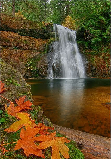 morrison (@morris25844069) on Twitter photo 