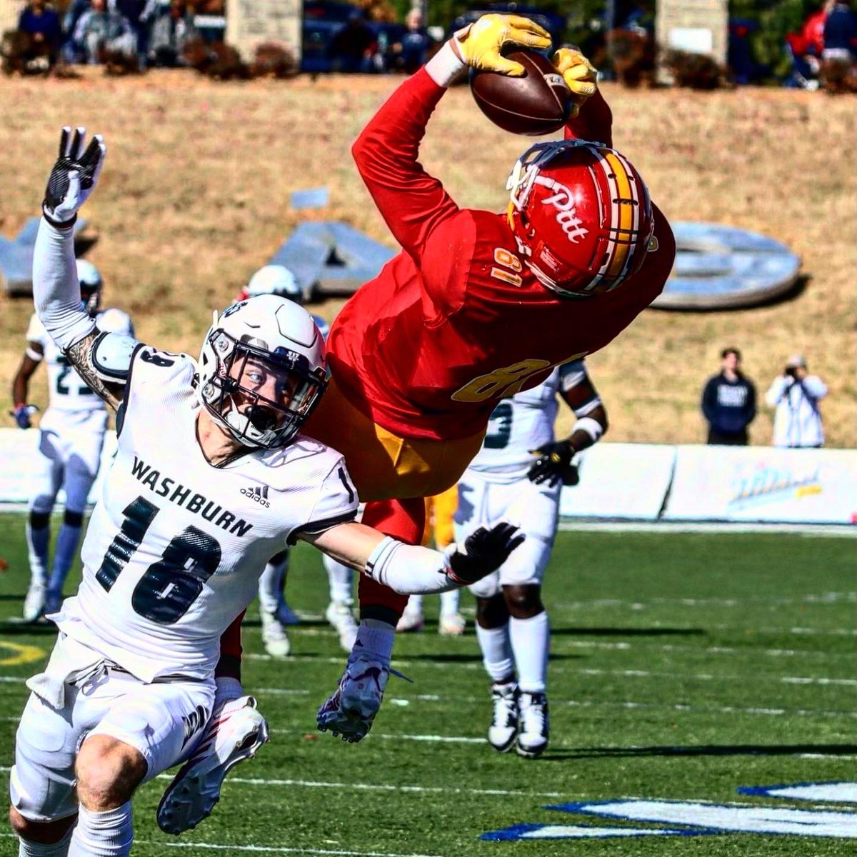 Mark Wheeland tweet media