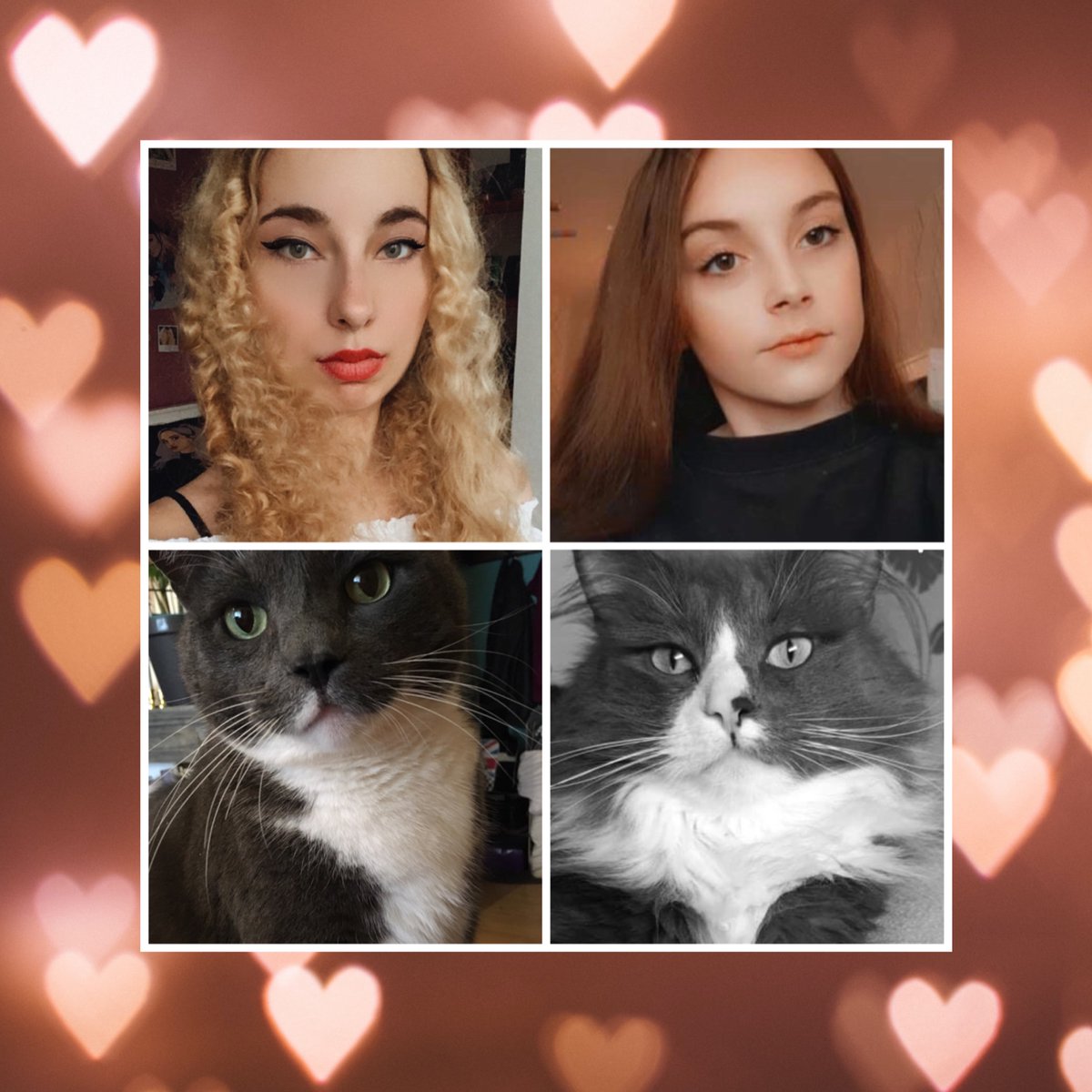 OfficialJuLea's tweet photo. Da ich (Jule) ja schon etwas länger blond bin, habe ich auf fast allen Plattformen mal das Profilbild aktualisiert. ❤️
#NewProfilePic #JuLea #LeaSimba #iHowleen #YouTube https://t.co/jVx2Zyu5Jr