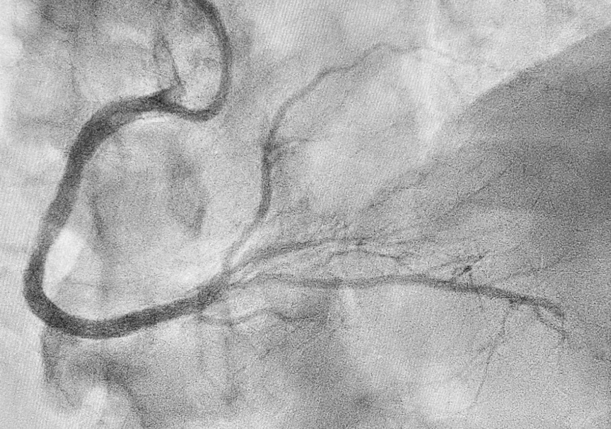 Alex Truesdell tweet media