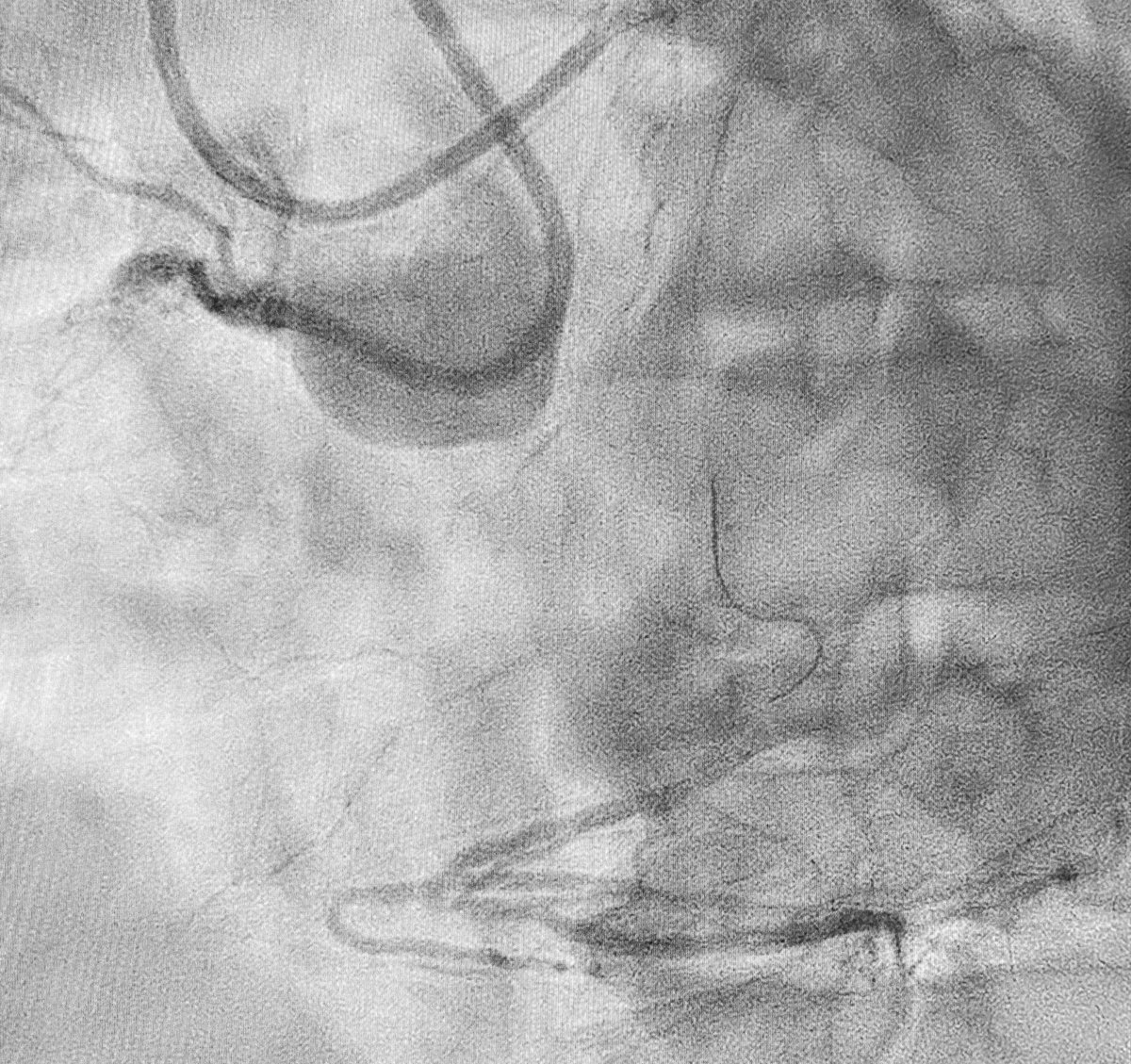 Alex Truesdell tweet media