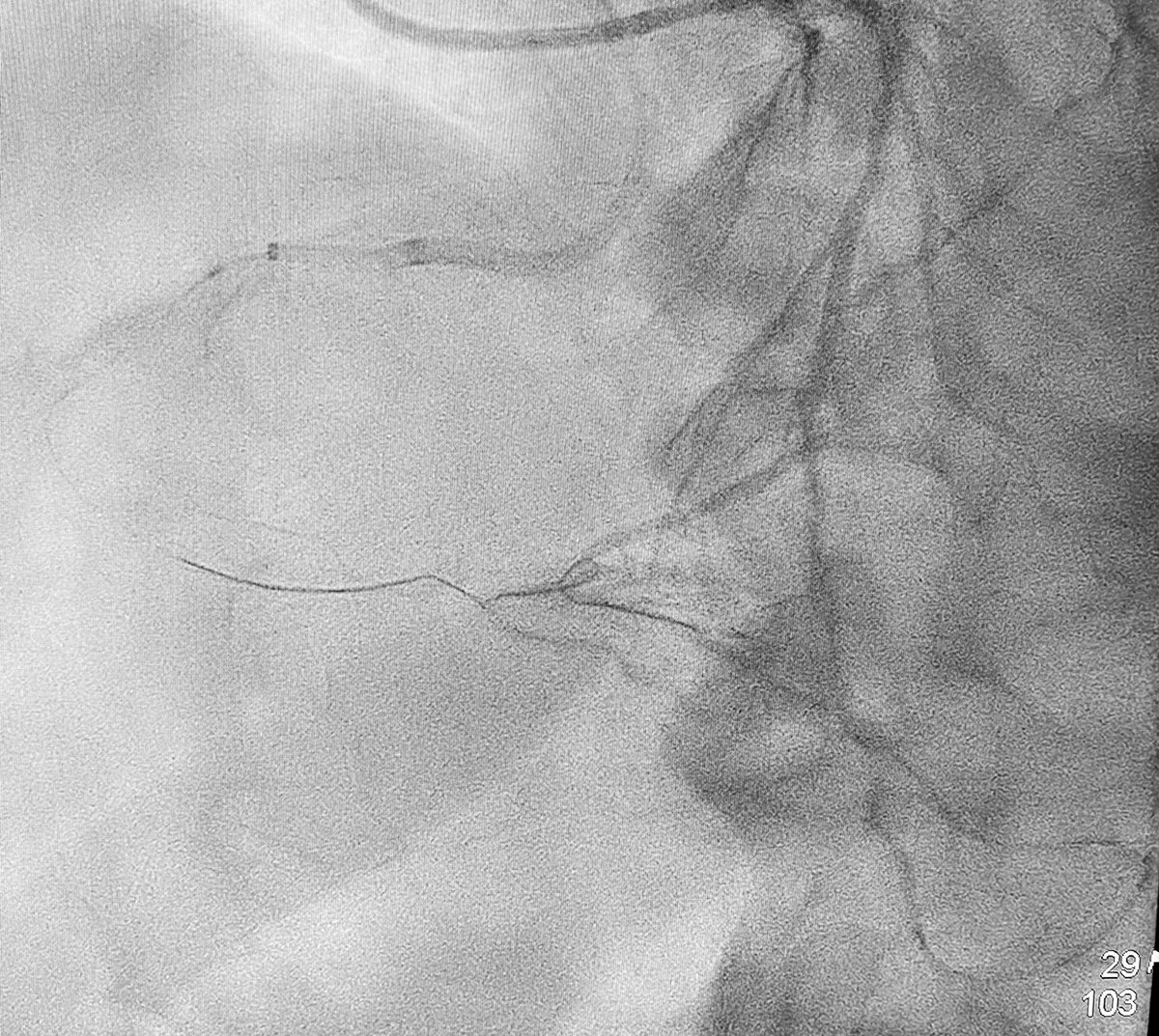 Alex Truesdell tweet media