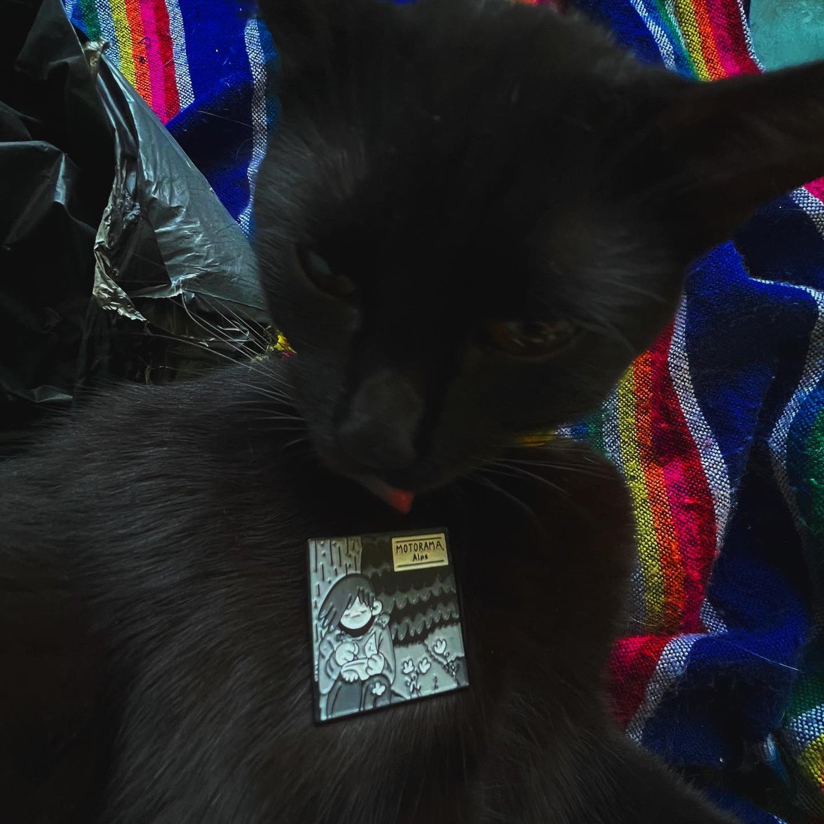 #Motorama siempre nos saca el lado más melancólico, nos pone bien quiensabecomo, pero como nos gusta. 😍

Este pin está a nada de acabarse, encuentren el suyo en nuestros puntos de venta o por acá. 👇🏼🖤

merch.hipnosismx.com/products/pin-a…