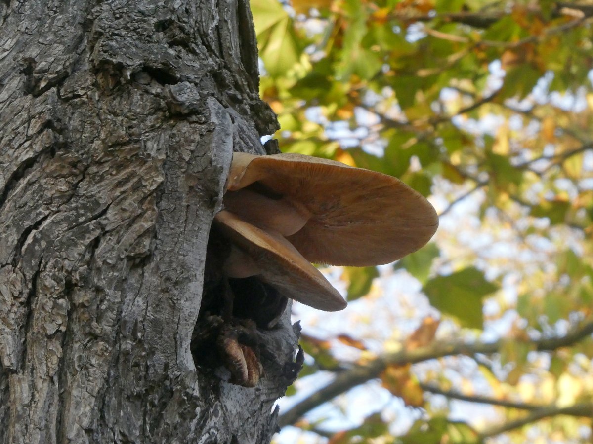 Wouter van der Wulp tweet media