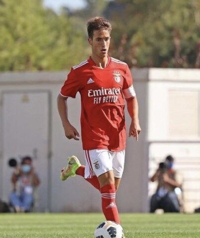 Pedro Ponte tweet media