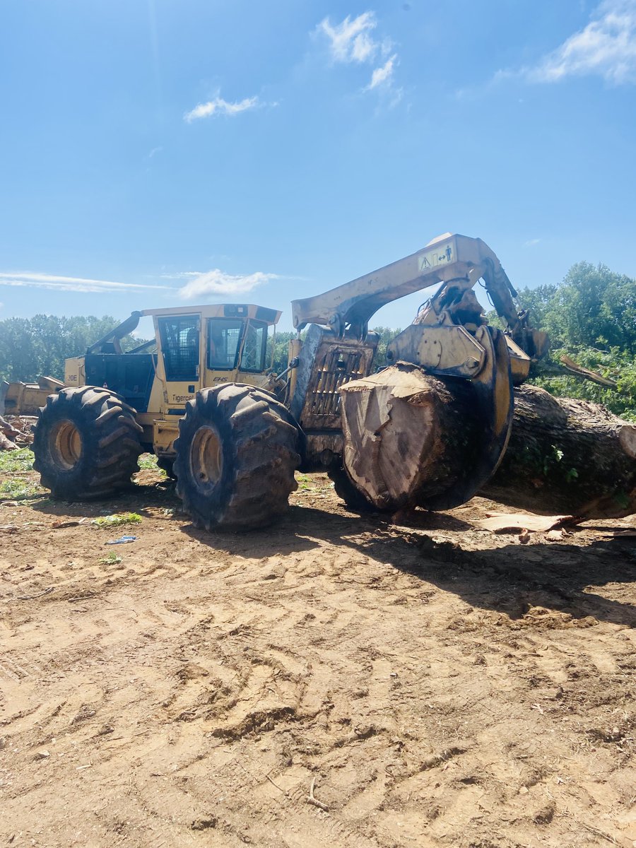 djloggingnc's tweet image. D&amp;amp;J cutter and a huge tree #GetItDone #Logging