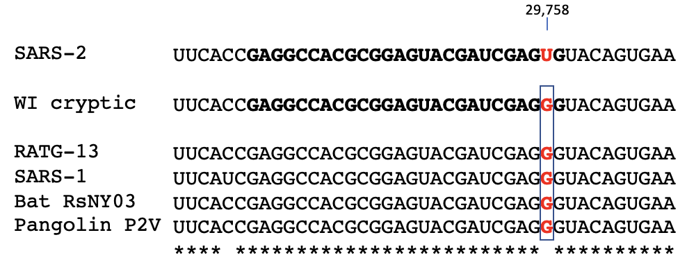 Marc Johnson tweet media