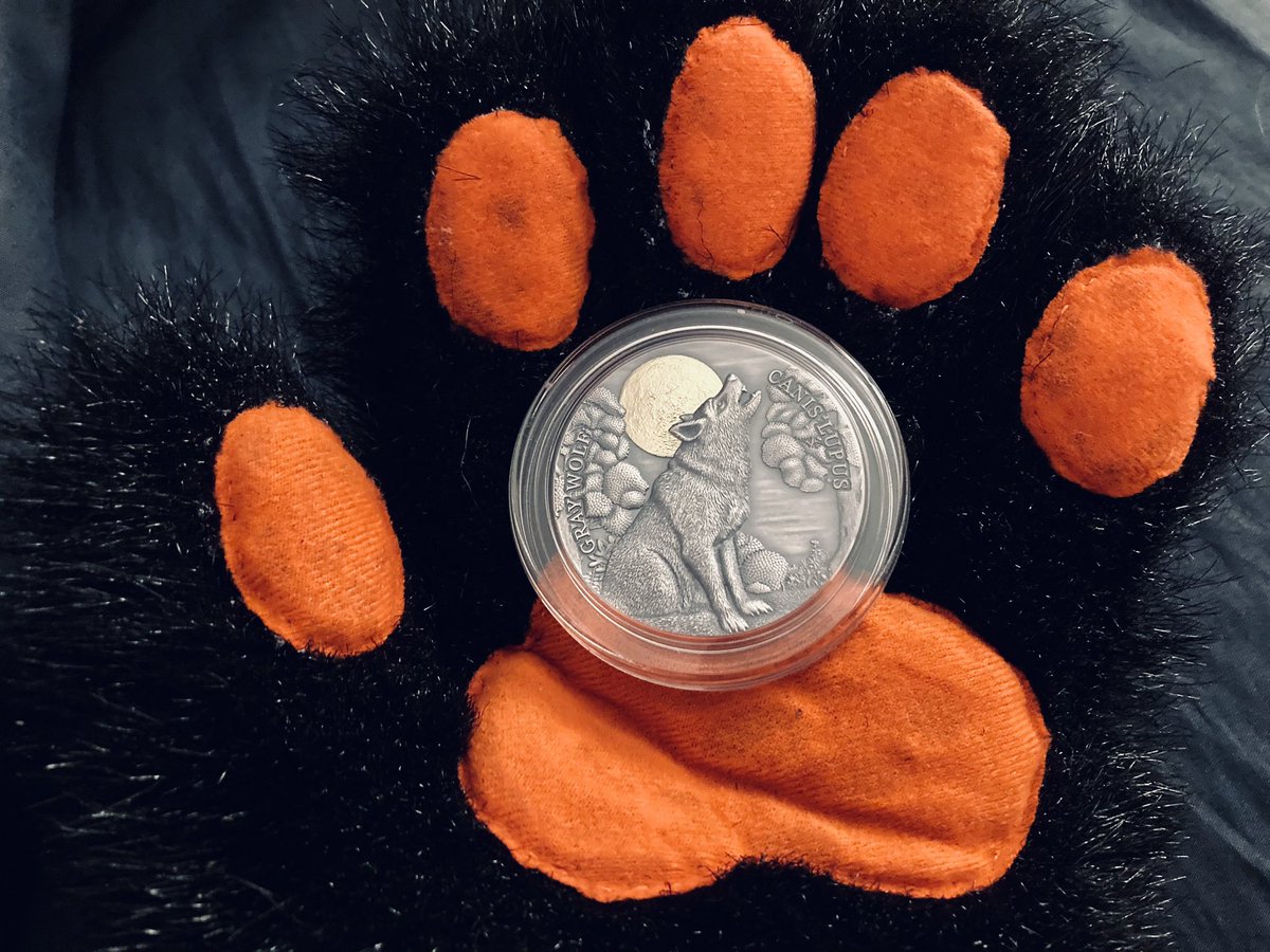 Una de mis monedas de lobo favoritas! 🪙💖🐺

#Furry #Fursuit #FursuitEveryday
#Furrygay #Fursuiter #Furryart
#Furrycoins #Furrynumismatics