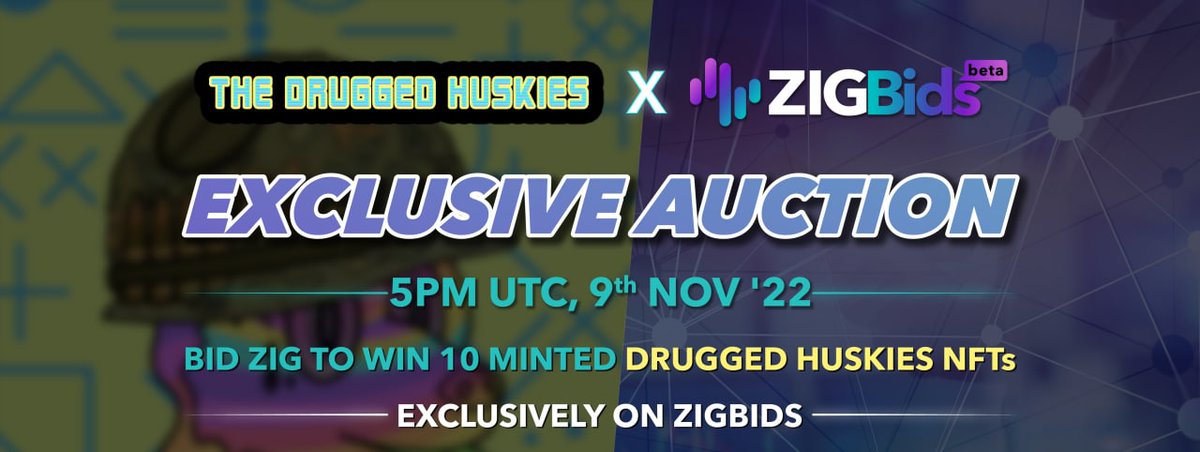 🚨GET DH #NFTs SUPER CHEAP on the private auction at <a href="/ZIGBids/">ZIGBids</a>, 9th Nov, 5PM UTC - starting at 0.01 $ZIG!🔥

Visit zigbids.zignaly.com/?privateCode=d…

Connect your matic wallet>redeem the code 'DRUGGEDHUSKIES' &amp; get  200 #ZIG instantly+8X deposit bonus!😱

How to bid:
youtube.com/watch?v=2cDyJh…