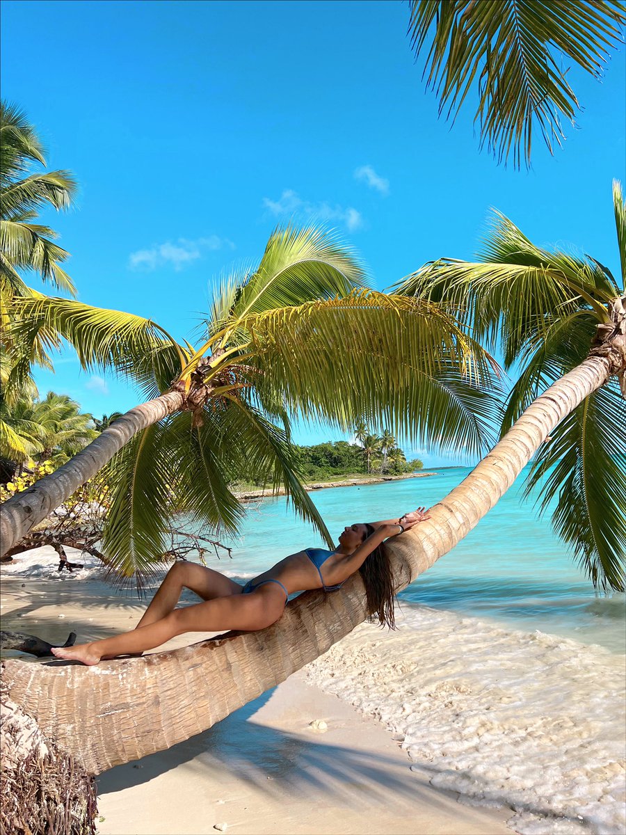 🏝️