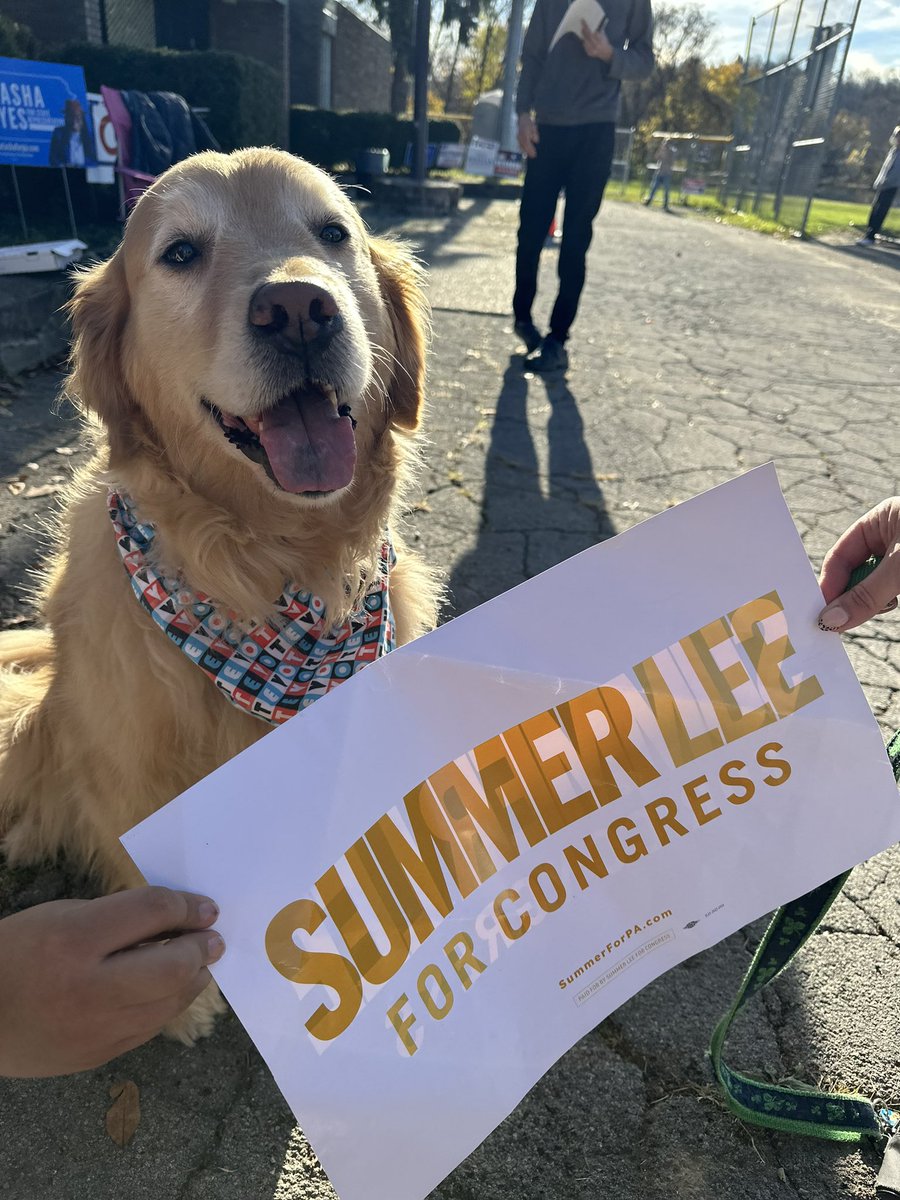 susmik_'s tweet photo. @SummerForPA #SummerLeeforCongress @PghDogRiver https://t.co/SfyN1gTgED