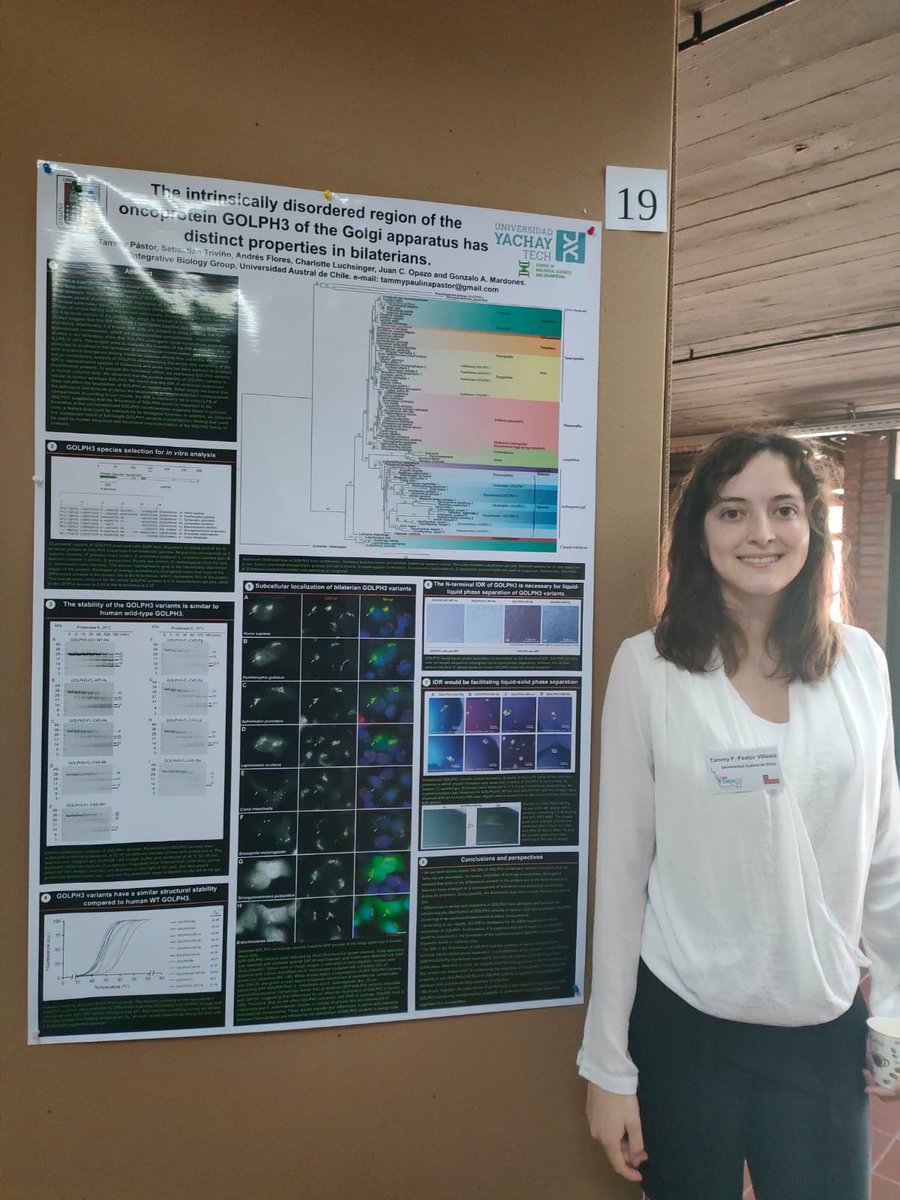 TammyPastorV's tweet photo. I presented my research on evolution of disordered region of #GOLPH3 and its implication in the formation of membraneless compartments at #mvdsmbe2022 in Montevideo. I'm glad to present my undergrad thesis to such talented scientists @SMBE_SA_2022 @OfficialSMBE @uniyachaytech https://t.co/2R3LIa4P93