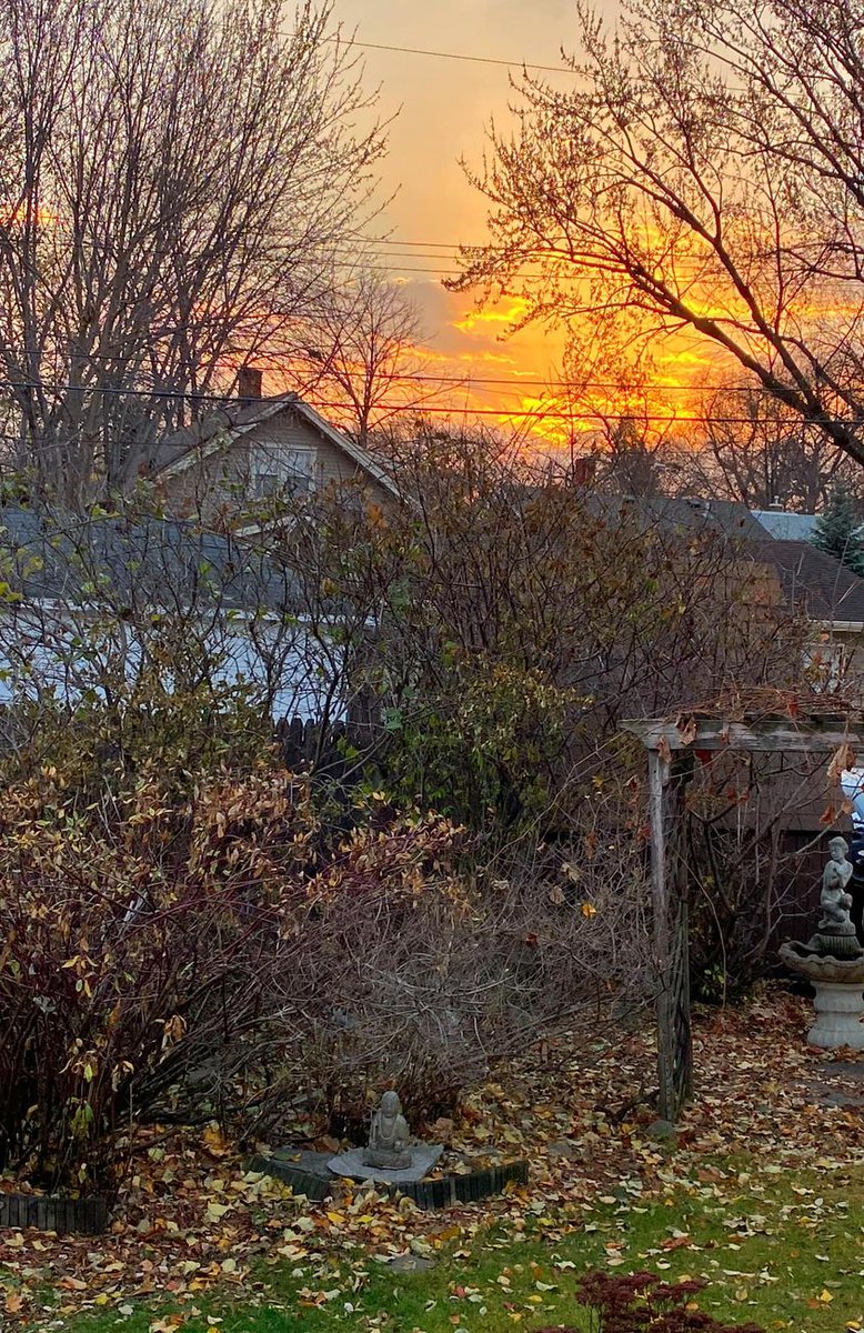 glued to a lawn chair
autumn entertainment
colors rise

#haiku #autumn #fall #leaves #sunrise #chair #colors