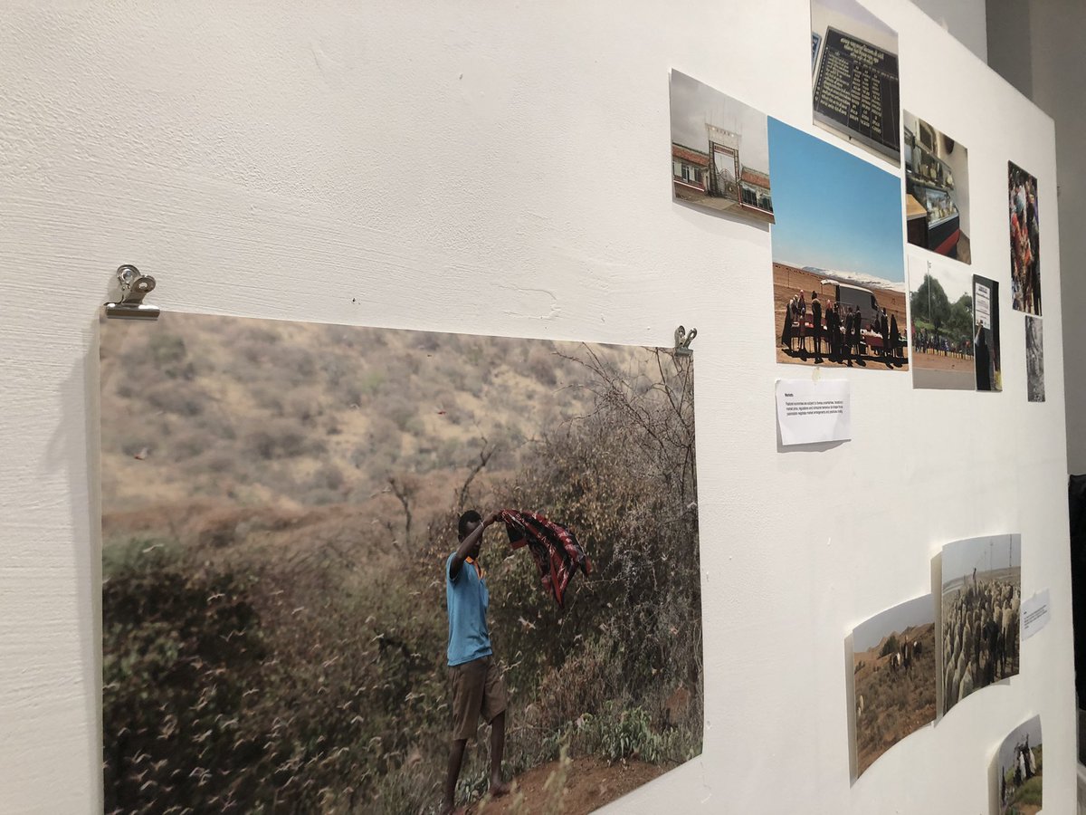 PASTRES_erc's tweet photo. Great day at @ONCA_Arts in #Brighton supported by the amazing gallery team, putting together the photo exhibition ‘An Uncertain World’. It opens on Thursday 10 November. https://t.co/fkdpEzUBKX https://t.co/4Z0mRyamYT